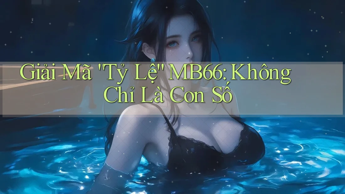 Giải Mã “Tỷ Lệ” MB66: Không Chỉ Là Con Số