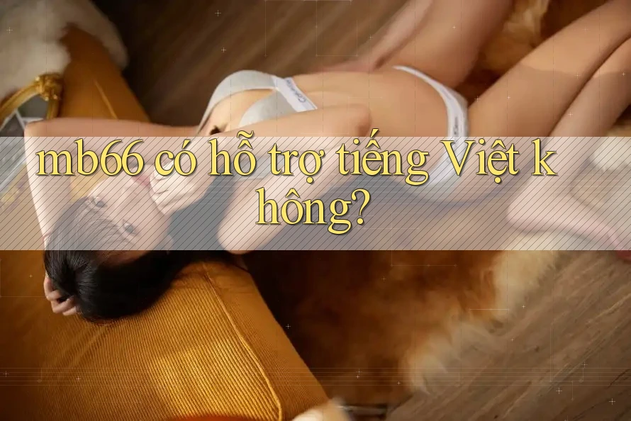 Mb66 có hỗ trợ tiếng Việt không? Mb66 có hỗ trợ tiếng Việt không?