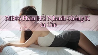 mb66  phản hồi nhanh chóng khi cần