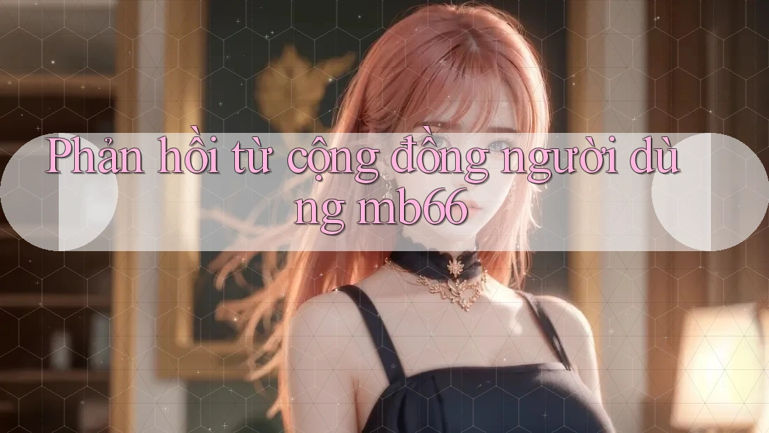 Phản hồi từ cộng đồng người dùng mb66 Phản hồi từ cộng đồng người dùng mb66