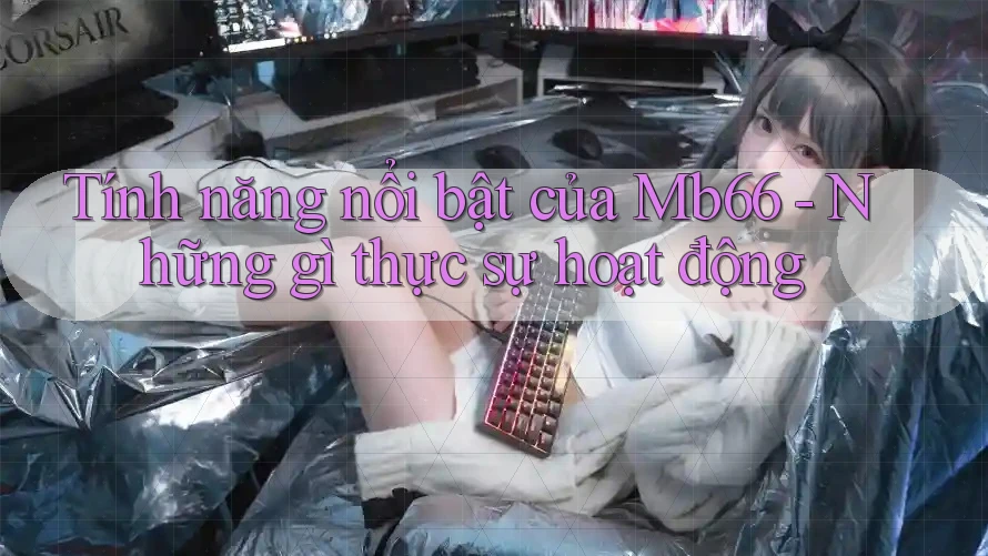 Tính năng nổi bật của Mb66 - Những gì thực sự hoạt động Tính năng nổi bật của Mb66 - Những gì thực sự hoạt động