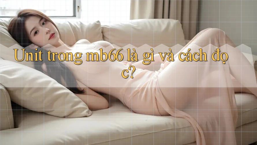 Unit trong mb66 là gì và cách đọc? Unit trong mb66 là gì và cách đọc?
